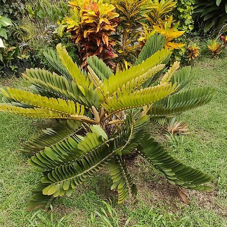 Bencastle Villa Gros Islet Zewnętrze zdjęcie