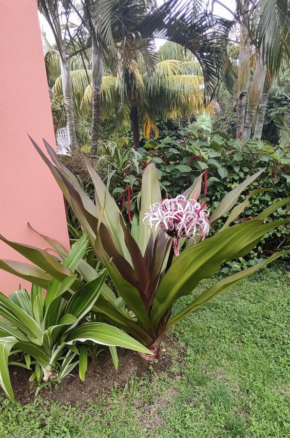 Bencastle Villa Gros Islet Zewnętrze zdjęcie