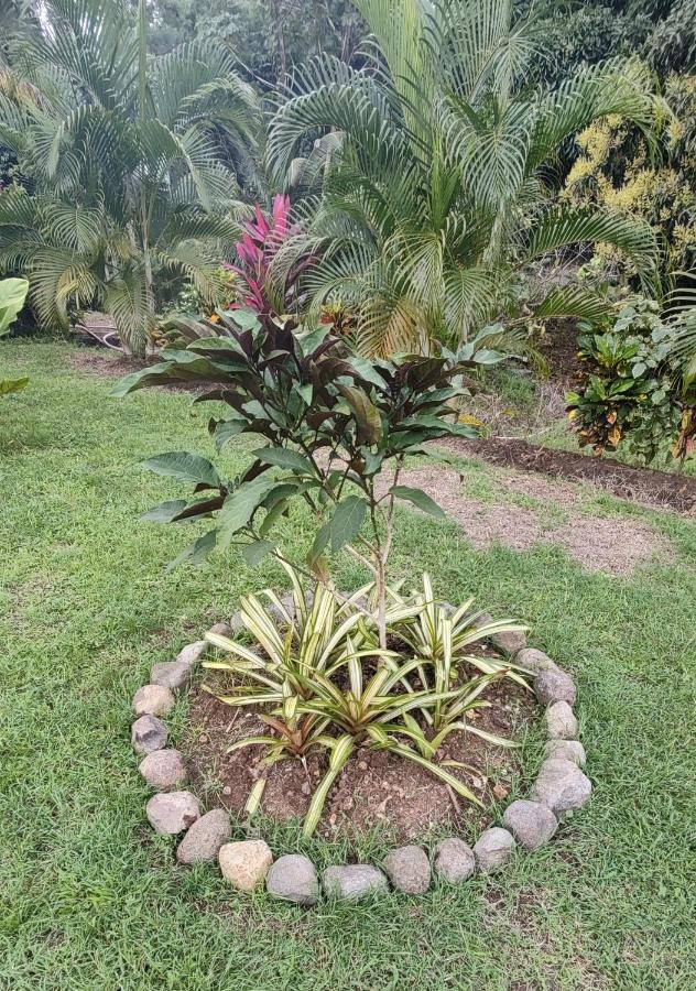 Bencastle Villa Gros Islet Zewnętrze zdjęcie