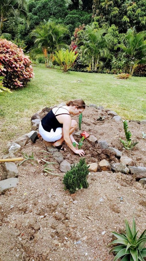 Bencastle Villa Gros Islet Zewnętrze zdjęcie
